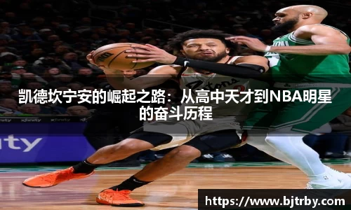 mk体育官网入口